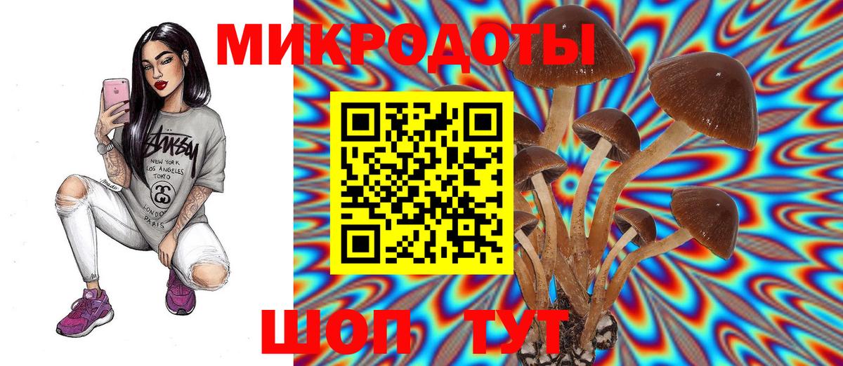 Галлюциногенные грибы Psilocybine cubensis  Псилоцибиновые грибы GOLDEN TEACHER  Серпухов  Вход с VPN 